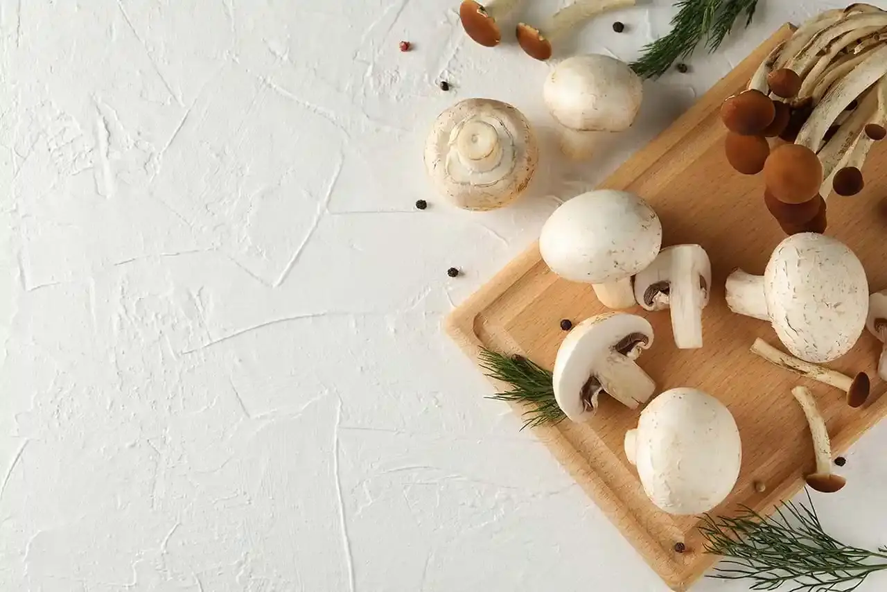 Ann's Mushrooms Farm